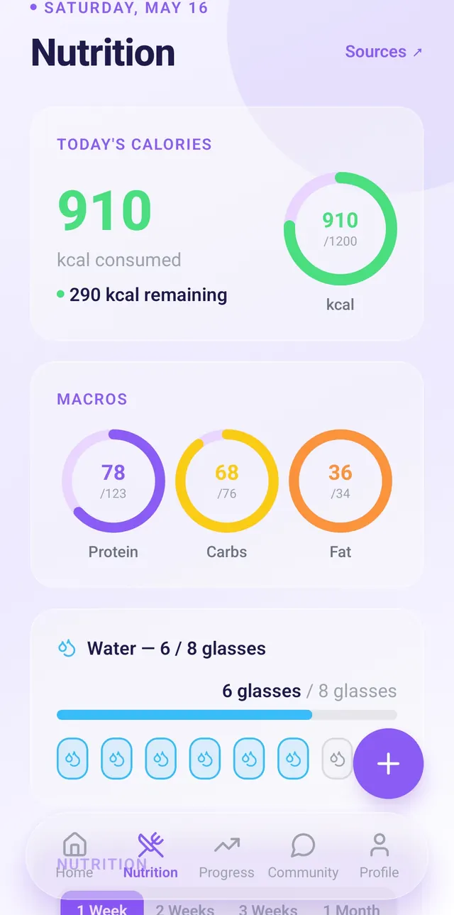 Lysa nutrition log showing protein and calories